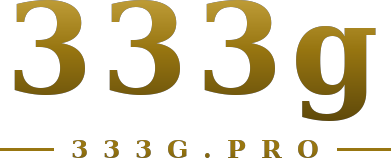 333g logo